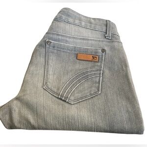 JOE’S-Jeans 👖 Women's Skinny Leg in Gray